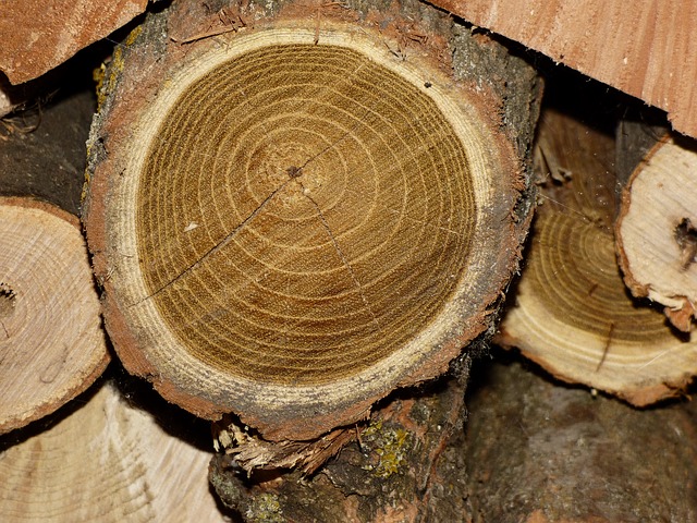 řezané dřevo.jpg